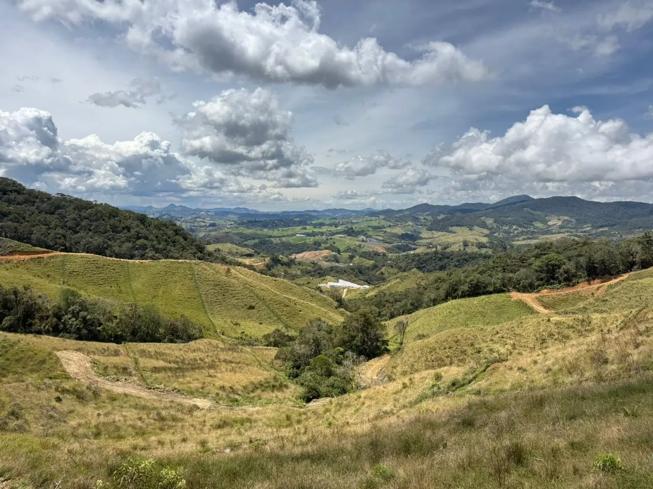 WhatsApp Image 2025-09-30 at 3.51.31 PM