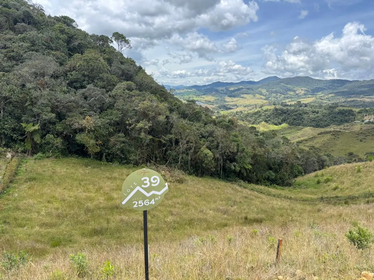 WhatsApp Image 2025-09-30 at 3.51.32 PM